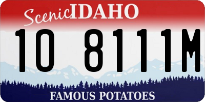 ID license plate 1O8111M