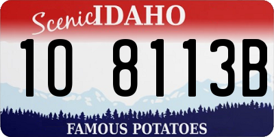 ID license plate 1O8113B