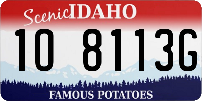 ID license plate 1O8113G