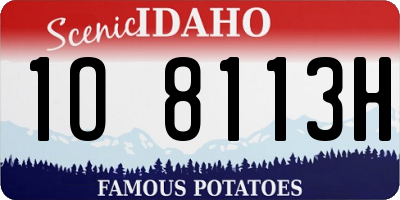 ID license plate 1O8113H