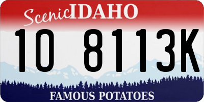 ID license plate 1O8113K