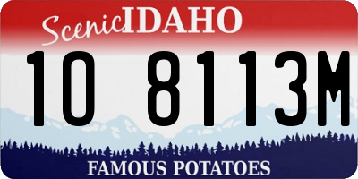 ID license plate 1O8113M
