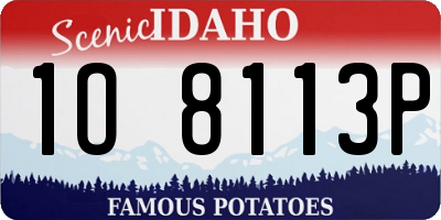 ID license plate 1O8113P