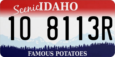 ID license plate 1O8113R