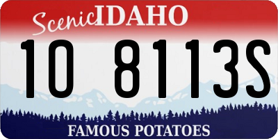 ID license plate 1O8113S