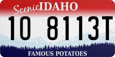 ID license plate 1O8113T