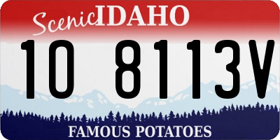 ID license plate 1O8113V