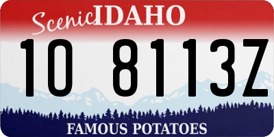 ID license plate 1O8113Z
