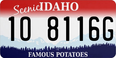 ID license plate 1O8116G