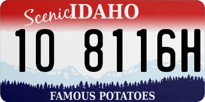 ID license plate 1O8116H