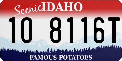 ID license plate 1O8116T