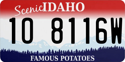 ID license plate 1O8116W