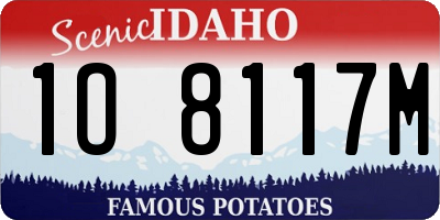 ID license plate 1O8117M