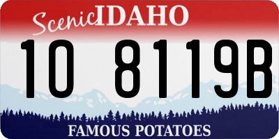 ID license plate 1O8119B