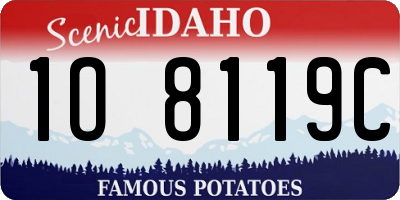 ID license plate 1O8119C