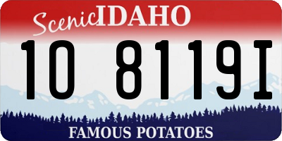 ID license plate 1O8119I