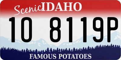 ID license plate 1O8119P