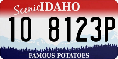 ID license plate 1O8123P