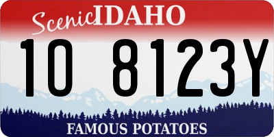 ID license plate 1O8123Y