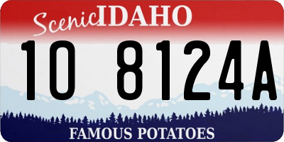 ID license plate 1O8124A