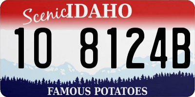 ID license plate 1O8124B
