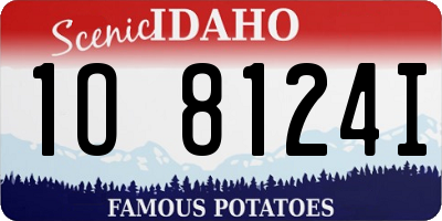 ID license plate 1O8124I