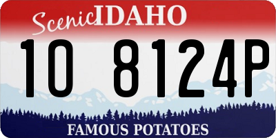 ID license plate 1O8124P