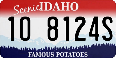 ID license plate 1O8124S