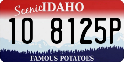 ID license plate 1O8125P