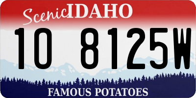 ID license plate 1O8125W