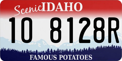 ID license plate 1O8128R