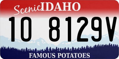 ID license plate 1O8129V