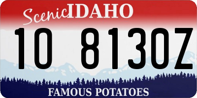 ID license plate 1O8130Z