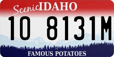 ID license plate 1O8131M