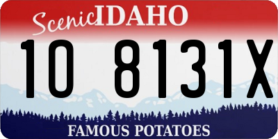 ID license plate 1O8131X