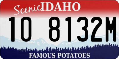 ID license plate 1O8132M