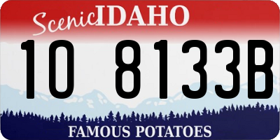 ID license plate 1O8133B