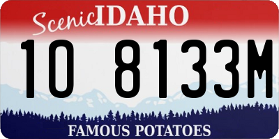 ID license plate 1O8133M