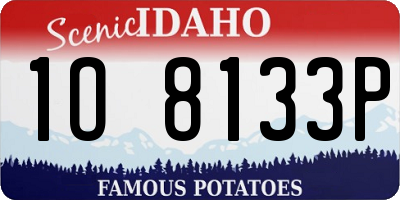 ID license plate 1O8133P