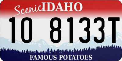 ID license plate 1O8133T