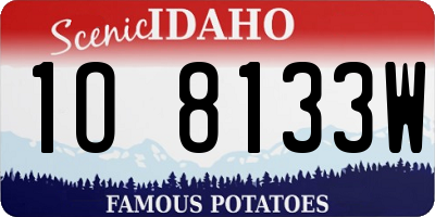 ID license plate 1O8133W