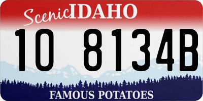 ID license plate 1O8134B