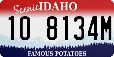 ID license plate 1O8134M