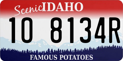 ID license plate 1O8134R