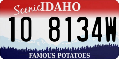 ID license plate 1O8134W