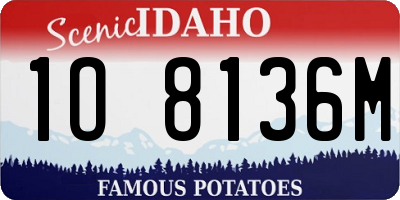 ID license plate 1O8136M