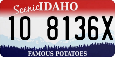 ID license plate 1O8136X
