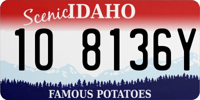 ID license plate 1O8136Y