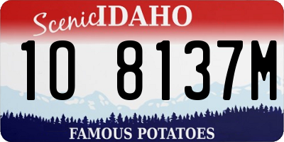 ID license plate 1O8137M