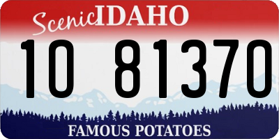 ID license plate 1O8137O
